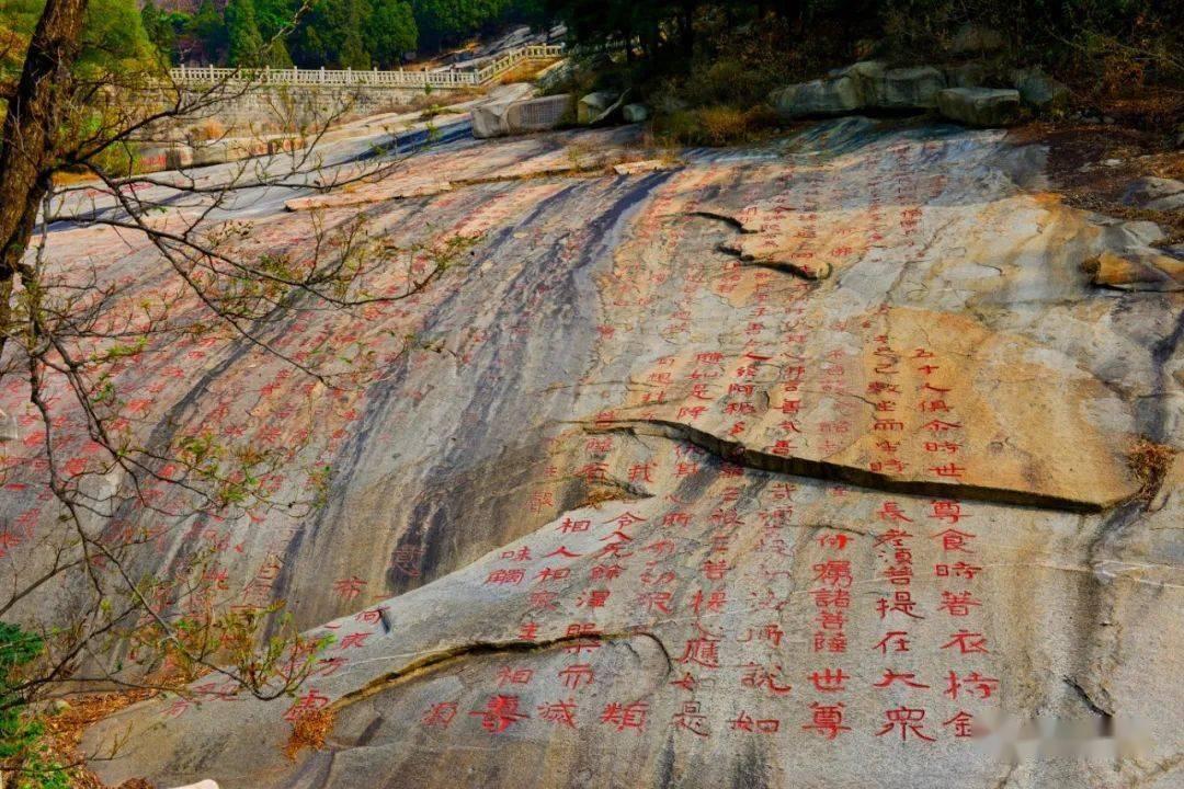 远征军：维京